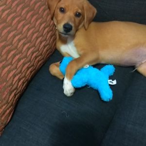 Meet your Posher, Rich